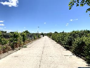 Entorno